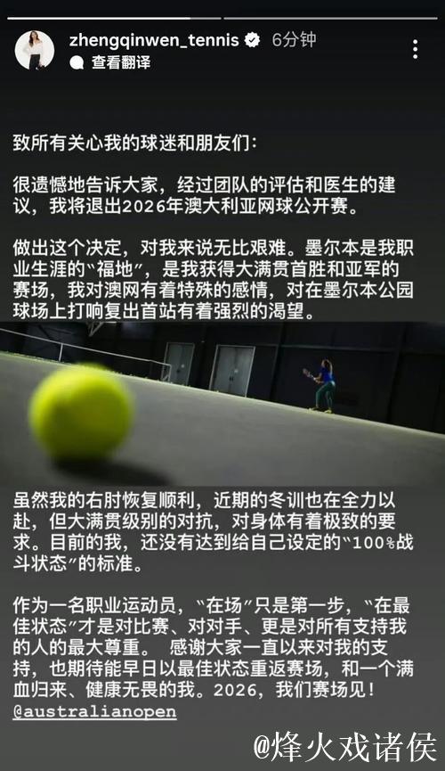 澳网｜四名中国选手跻身大满贯男单正赛创纪录，即将面对难度极大的挑战